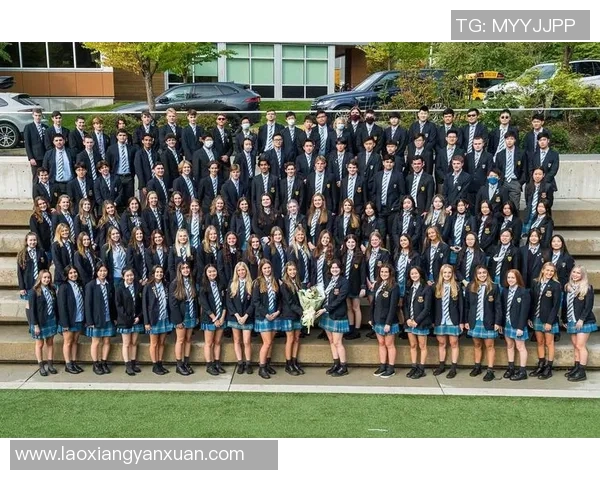 温哥华白与多伦多的精彩对决谁能笑到最后